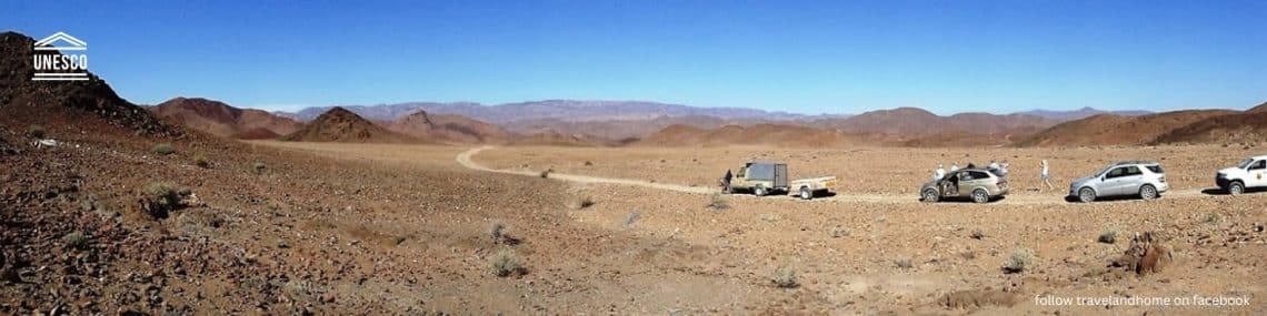Namaqualand Richtersveld, plants, flowers, trees, botanical