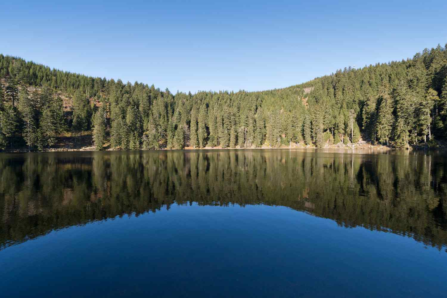 Explore Mummelsee near Sasbachwalden in Germany
