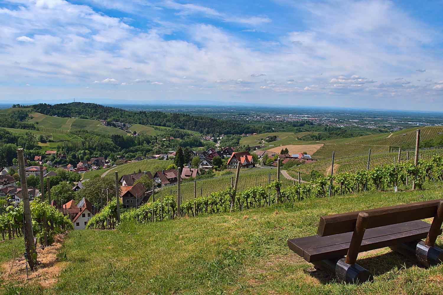 Sasbachwalden - Black Forest - with views all the way to France