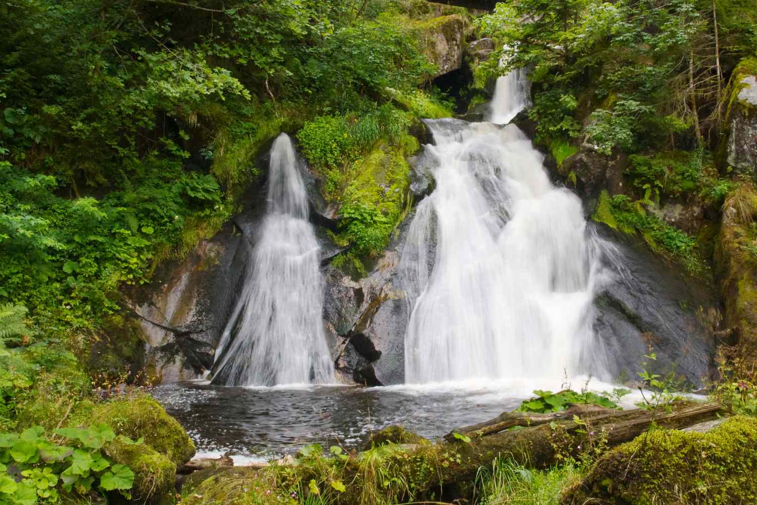 The Triberg Waterfalls