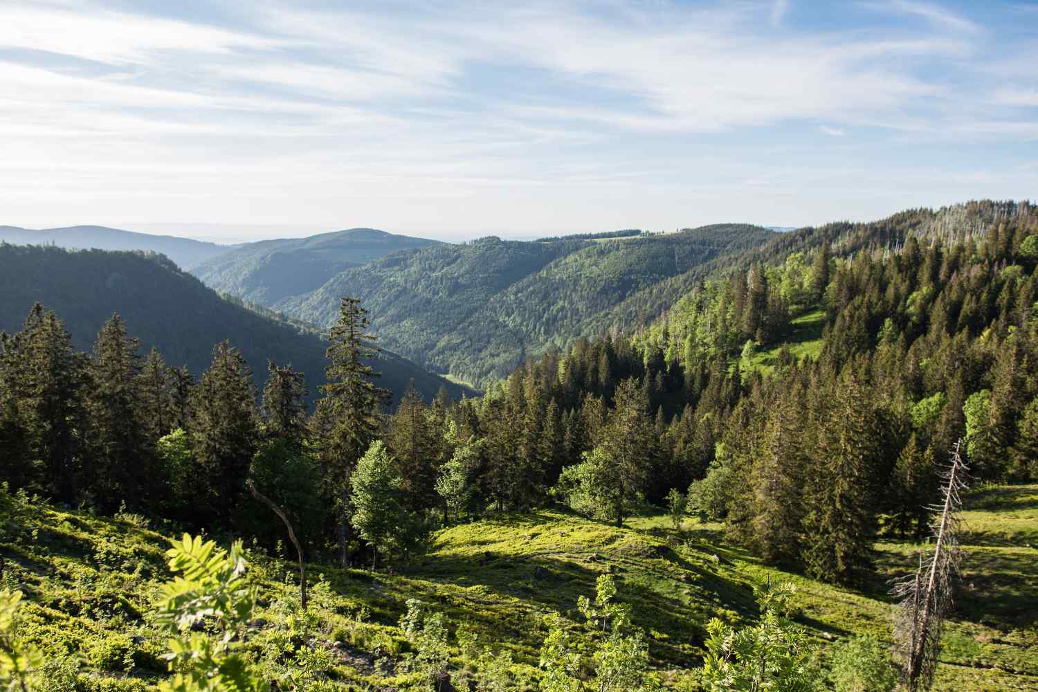 The beautiful Black Forest in Germany - nature and pretty villages - travel destination guide