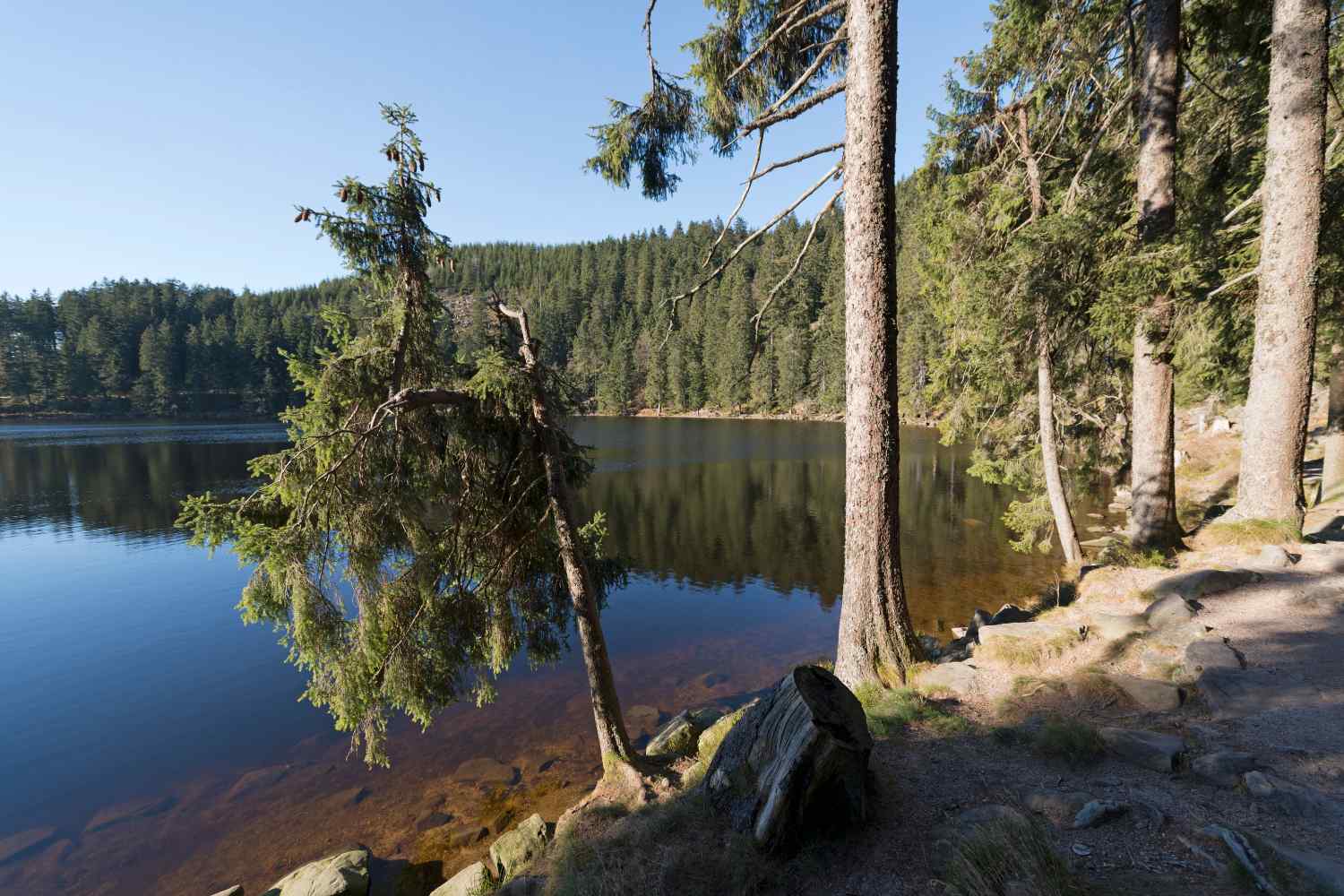 The black forest is known for its natural beauty