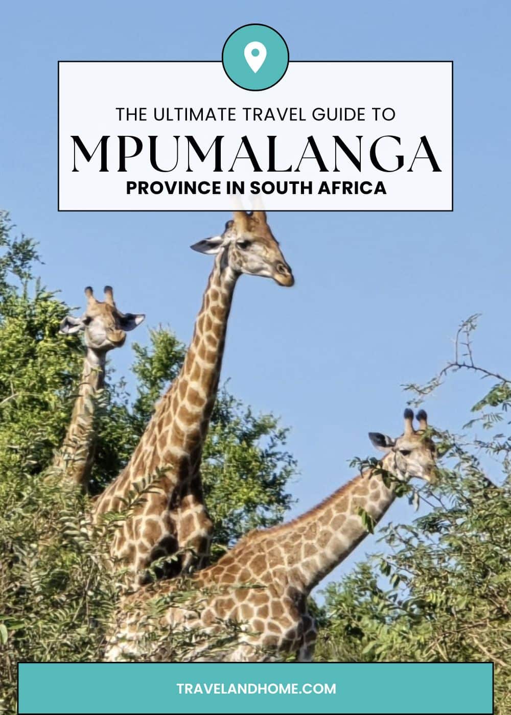 The Ultimate Travel Guide to Mpumalanga Province in South Africa