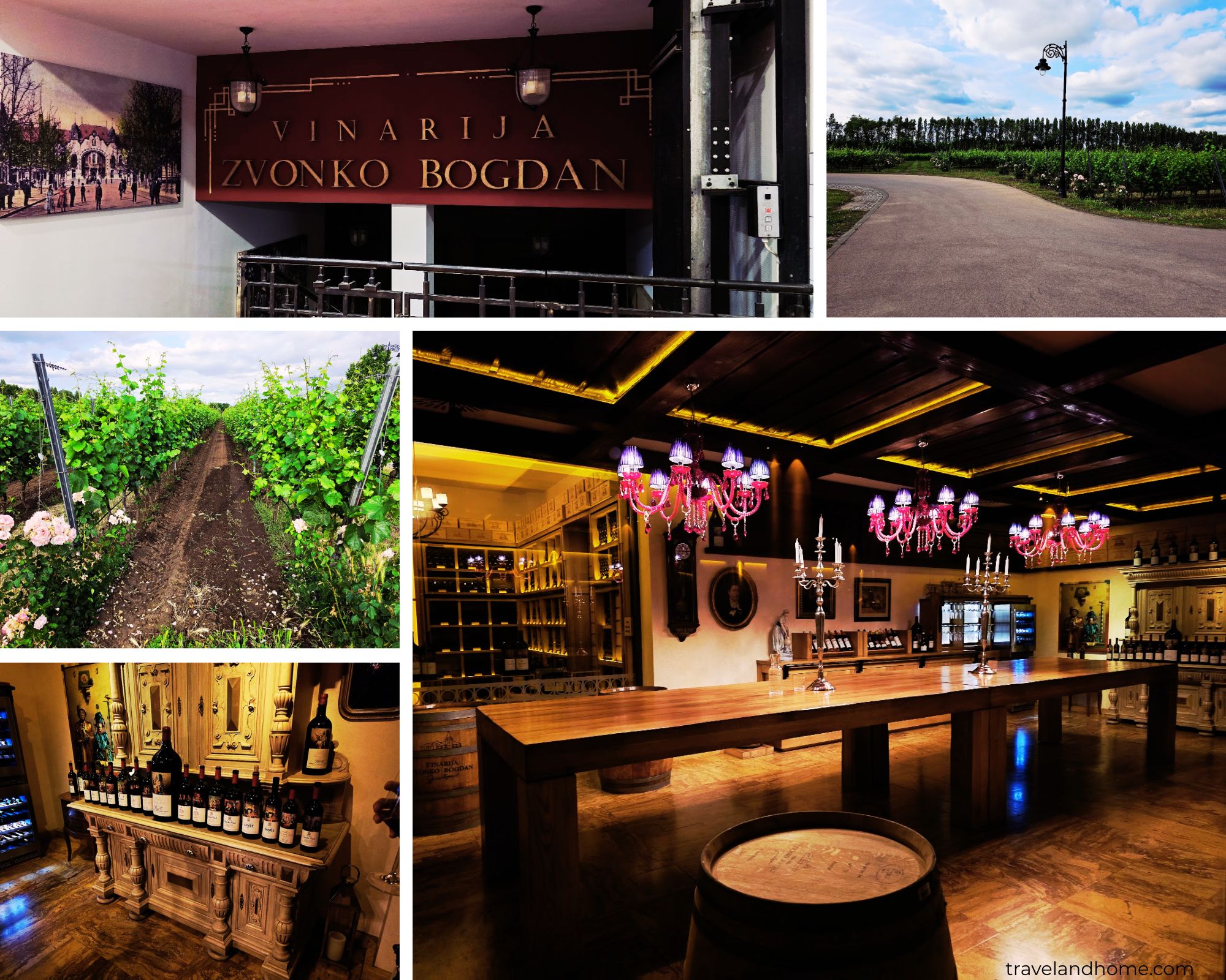 Serbian Wine Estate, Zvonko Bogdan Wine Estate, Best of Serbia