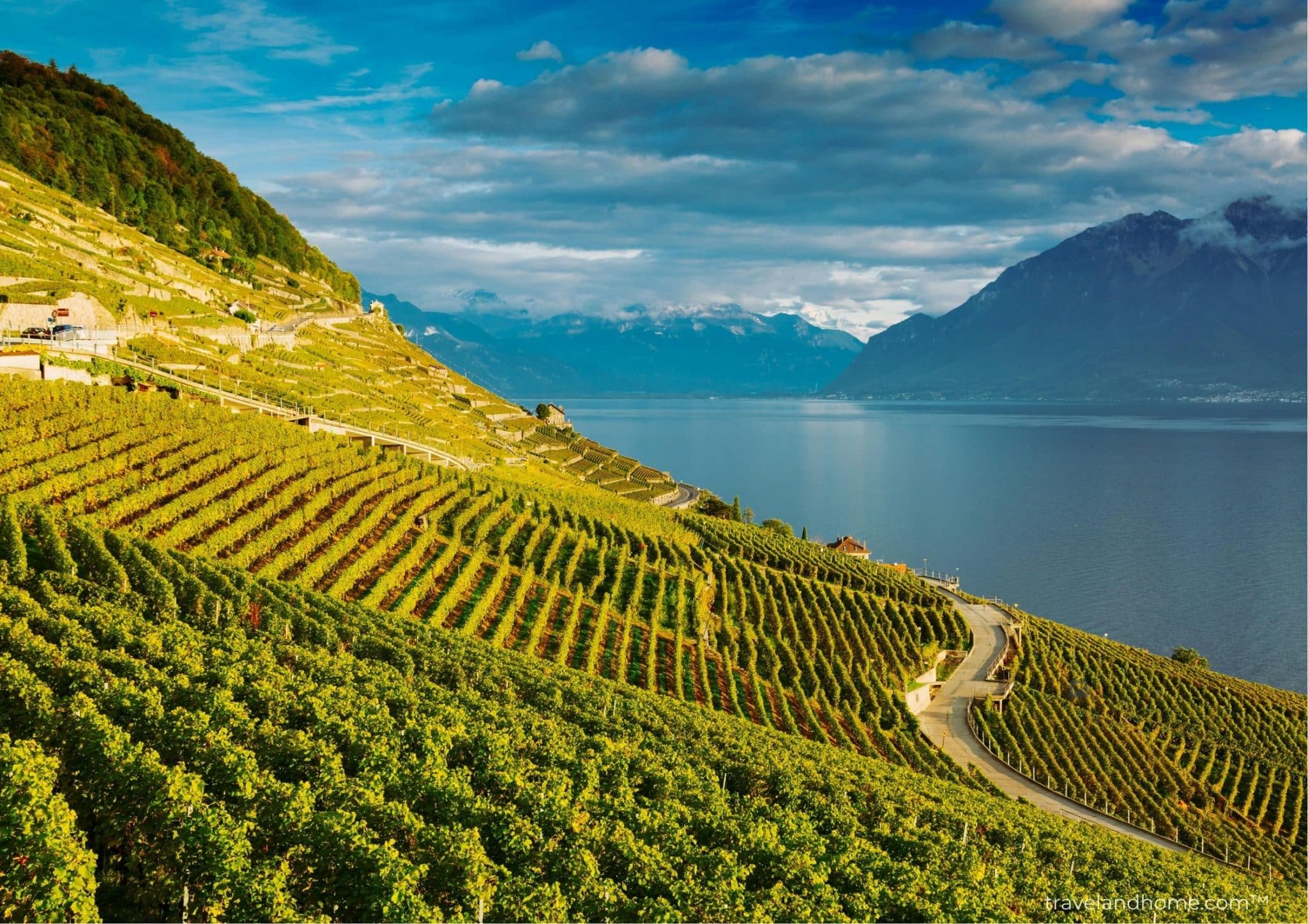 Lavaux vineyards is a UNESCO World Heritage site on Lake Geneva, Switzerland