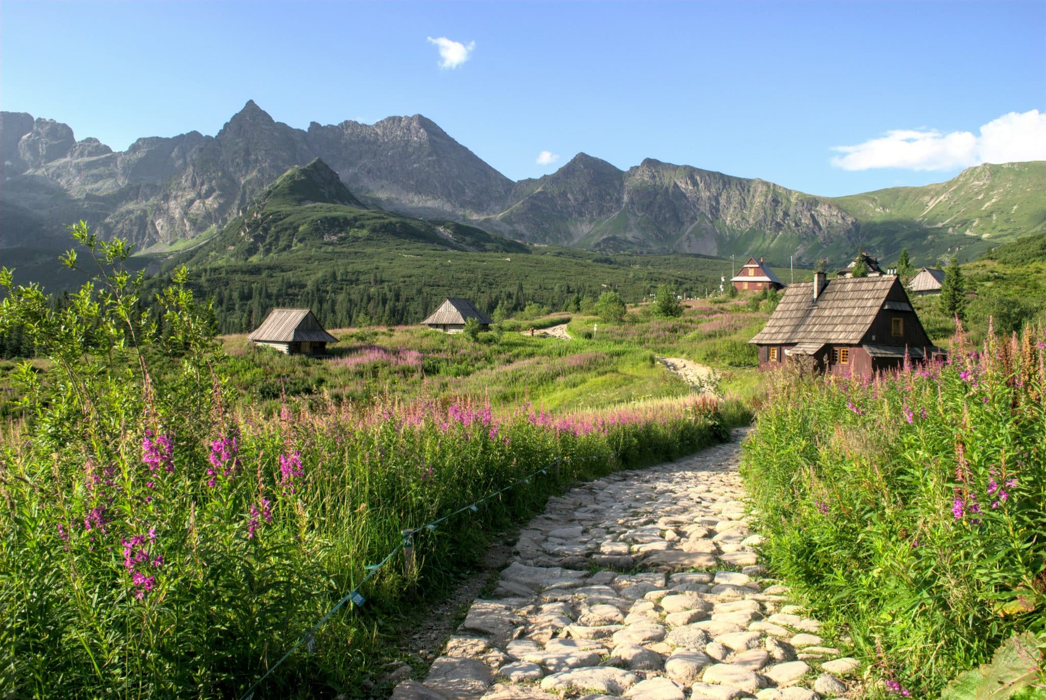 Hala Gąsienicowa, with the Tatra Mountains rising behind the traditional mountain huts and summer wildflowers.