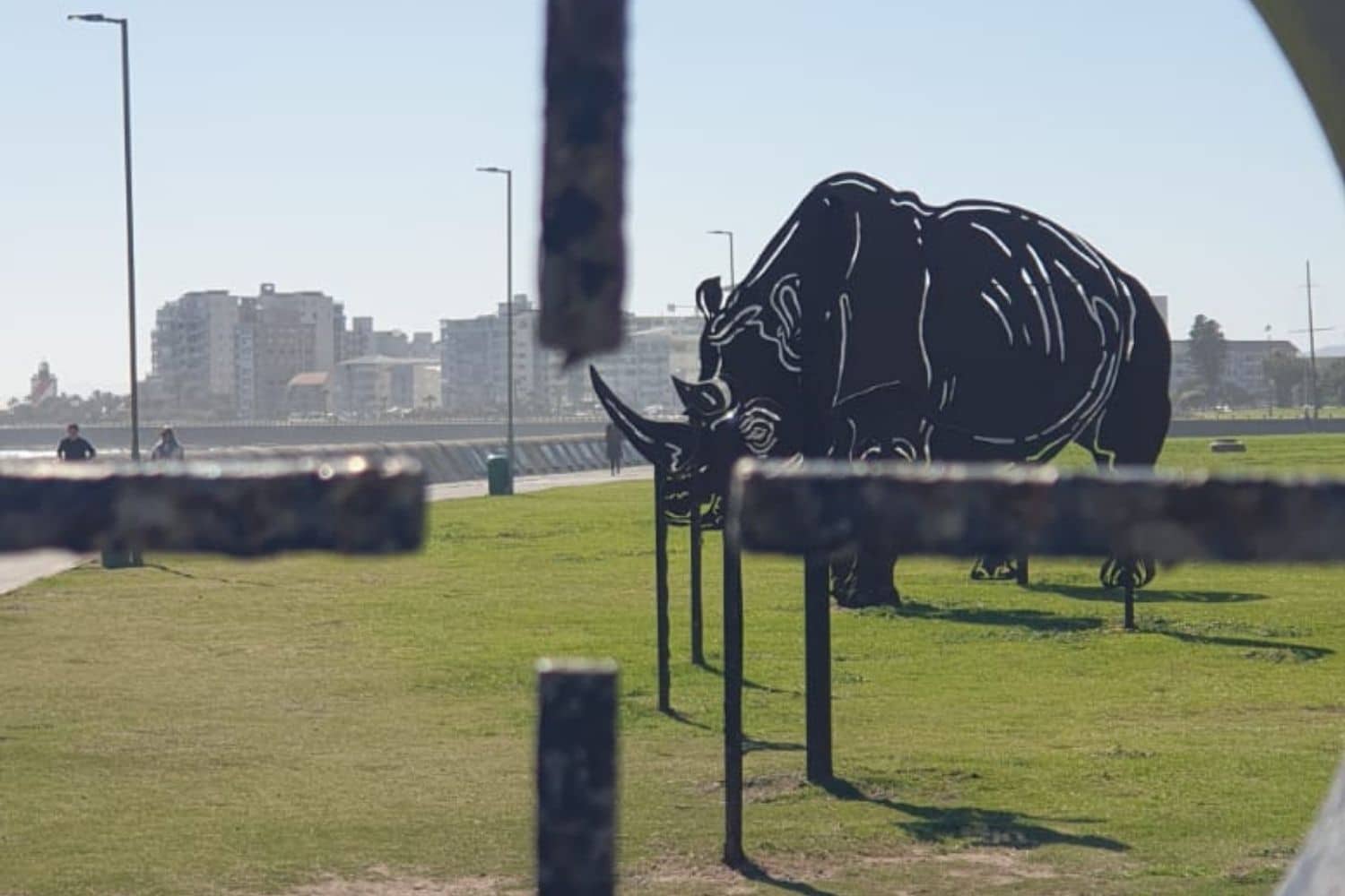 Rhino art exhibition in Sea Point Cape Town South Africa