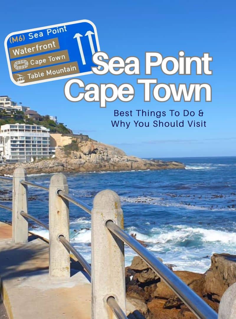 Sea Point Cape Town 7 things to do and why you should visit