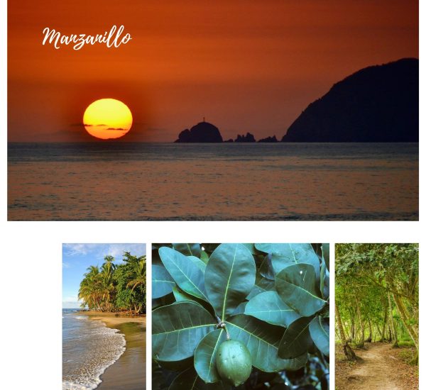Limon Caribbean coast Costa Rica travelandhome reis en huis travel and home rainforests beautiful beaches heritage min